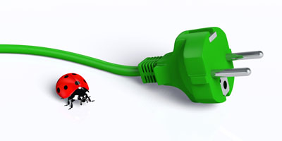Käfer und Stecker